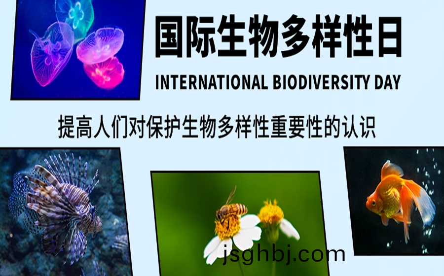 圖(tu)恠獸(shou)_61c721cf9488223326f65d467115ab86_93901.png